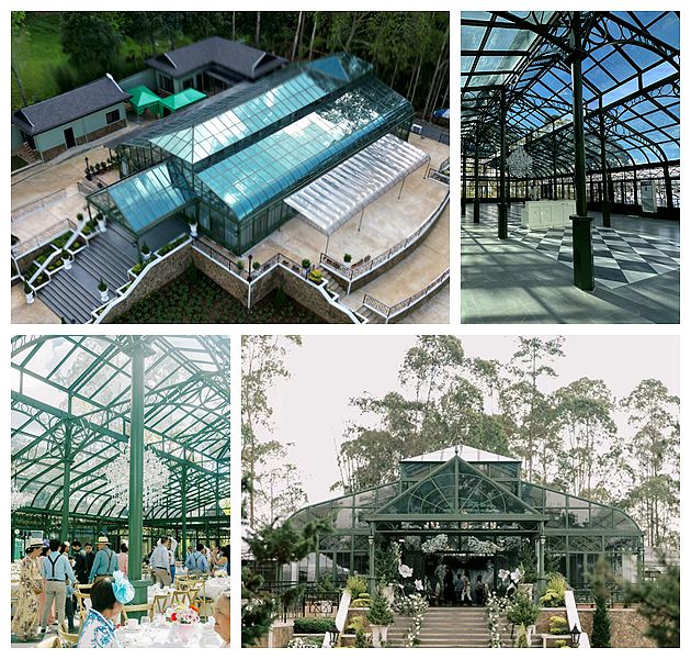 Steal These Ideas: Emily’s DIY Victorian Greenhouse Wedding on a Budget